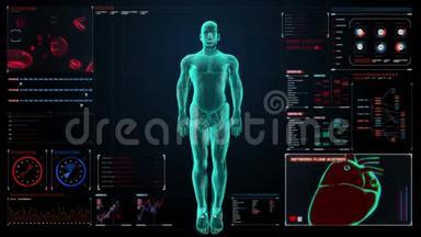 缩小人体内脏，数字显示仪表板消化系统。 前面的风景。